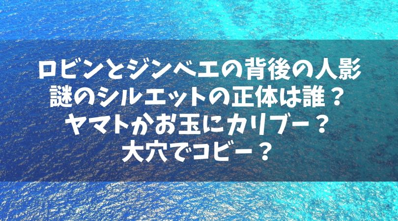 ロビンとジンベエの背後の人影 シルエット 正体は誰 ヤマトかお玉にカリブー 大穴でコビー Manga Life Hack