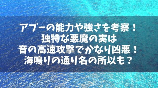 アプーの能力や強さを考察！独特な悪魔の実は音の高速攻撃でかなり凶悪！海鳴りの通り名の所以も？