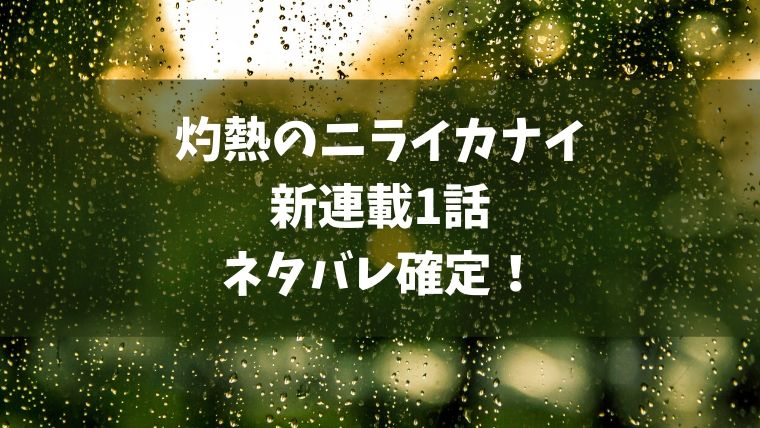 灼熱のニライカナイ新連載1話ネタバレ感想 鮫島と少女チャコとイルカの物語 Manga Life Hack