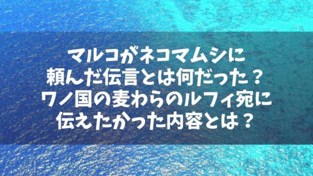 マルコが頼んだ伝言とは何だった？ネコマムシがワノ国のルフィ宛に受け取った内容とは？